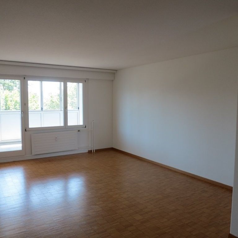 4 Zimmer-Wohnung in Volketswil mieten - Foto 1