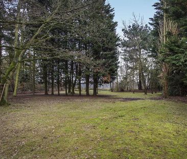 4 bedroom house to rent Playford Road, Little Bealings, Woodbridge,... - Photo 4