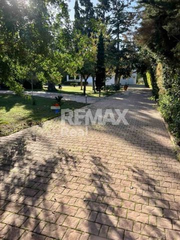 Βίλα - Ενοικίαση - Τυμπάκι, Κέντρο - Photo 3