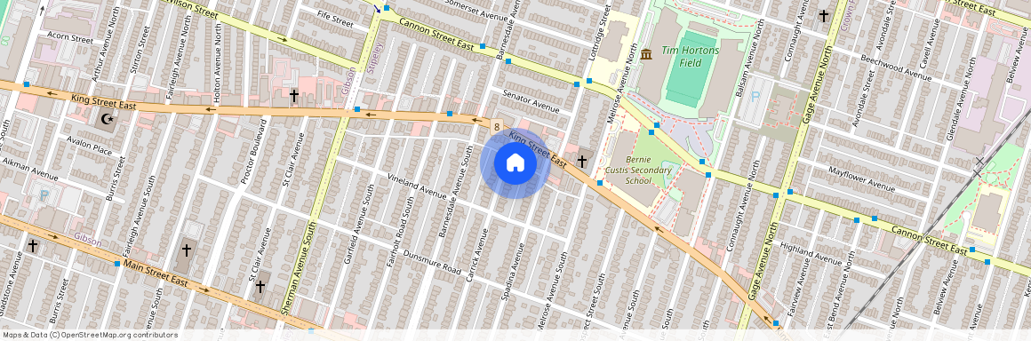 17 Carrick Avenue Unit# Basement, Hamilton