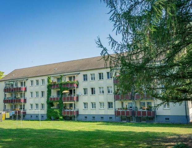 Ruhig gelegene 3-Raum-Wohnung im Erdgeschoss - Foto 1