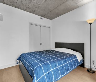 195 Rue Peel, Montréal (Le Sud-Ouest), QC H3C - Photo 2