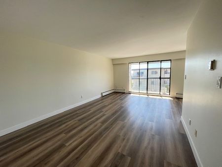 Newly Renovated Second Floor Apartment in White Rock - Photo 5