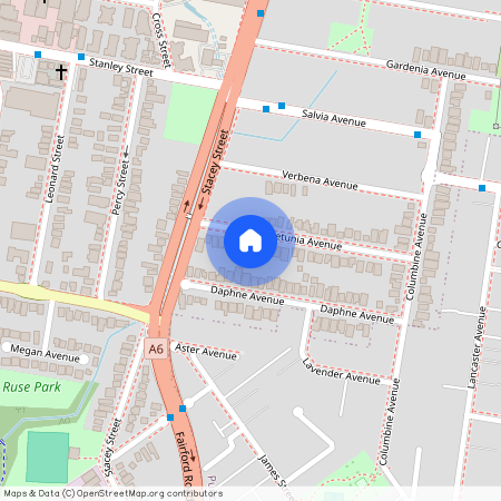 32 Petunia Avenue, NSW 2200, Bankstown