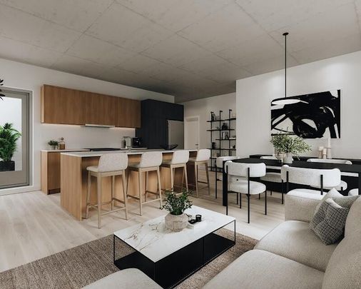 SHERWIN-Condos neufs à louer à Griffintown - Photo 1