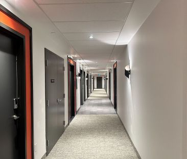 For Lease - 312 Erb Street Unit# 210, Waterloo, Ontario - Photo 1