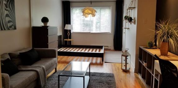 1 CH - 1 SDB - Montréal - $1,445 /mo - Photo 2
