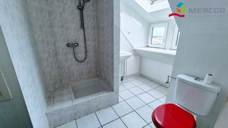 Appartement 1 pièce à Strasbourg - Photo 4