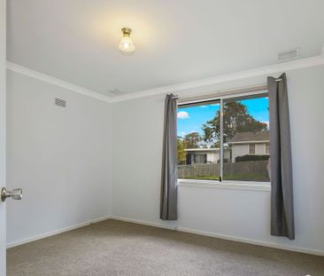 31 Owen Avenue, Wyong, NSW 2259 - Photo 4