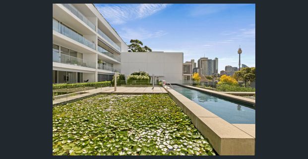530/50 Burton Street, Darlinghurst, NSW 2010 - Photo 1