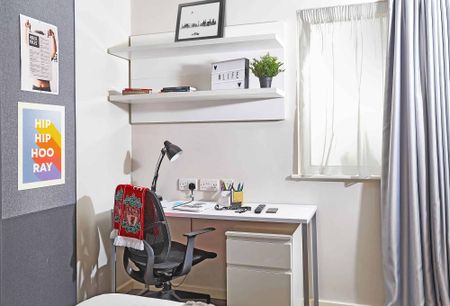 Premium Plus - Photo 2