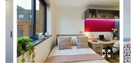 Room in a Shared Flat, Fletchamstead Highway, CV4 - Photo 3