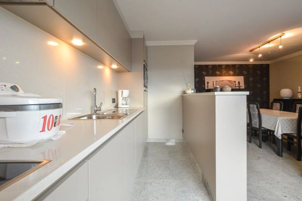 Gezellig appartement met zijdelings zeezicht te huur - Foto 1