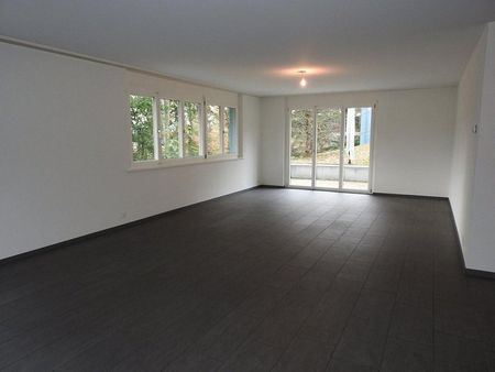 Grosszügige Maisonettewohnung an naturnaher Lage - Foto 2