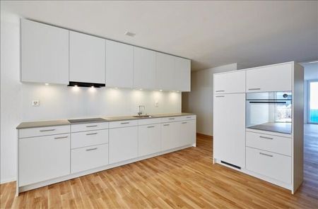 Appartement moderne avec beaucoup de confort - Photo 4
