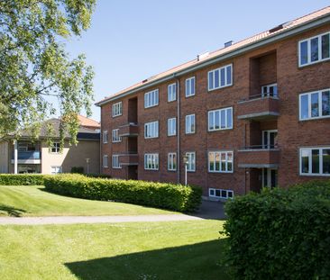 Gundorfslund - Foto 5