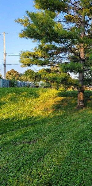 appartement 3/2 en rez de jardin a louer a PAT - Photo 1