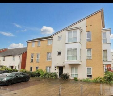 Room in a Shared Flat, Kennet Island, RG2 - Photo 3