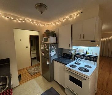 Large Quiet 1 Bedroom apartment in North Burnaby! - Photo 3