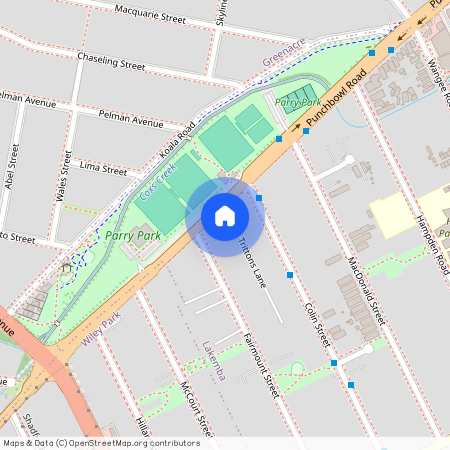 8/586-588 Punchbowl Road, NSW 2195, Lakemba