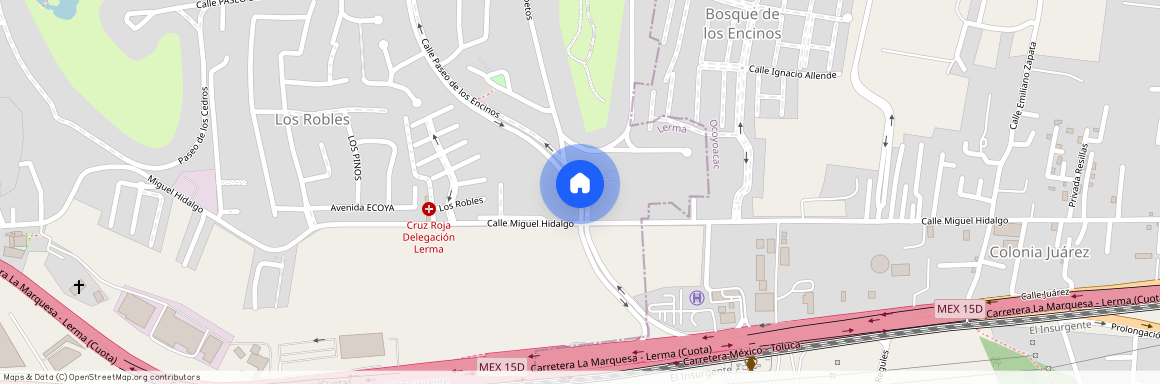 Calle Paseo de los Cedros, Fraccionamiento Los Robles, Lerma, México, 52005, MEX