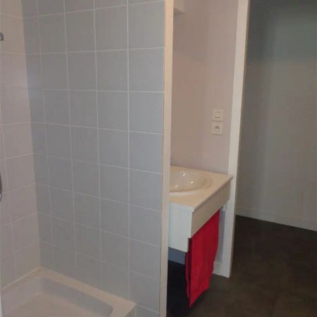 Location appartement 2 pièces - 46m² à Blois (41000) - Photo 4