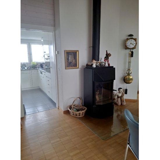 2½ Zimmer-Dachwohnung in Ebmatingen (ZH), möbliert, auf Zeit - Photo 1