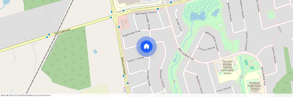 118 Sunridge Street, Richmond Hill