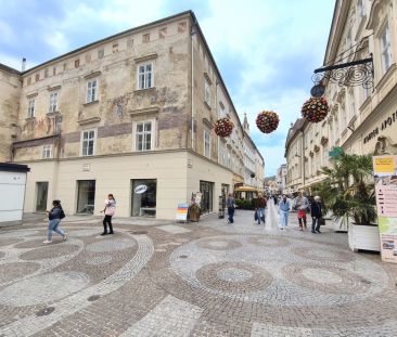 Erleben Sie Kremser Altstadt hautnah - Stilvolle 3-Zimmer-Wohnung m... - Photo 6
