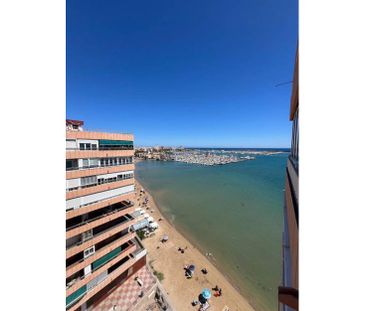 NICE APARTMENT FOR LONG TERM RENTAL IN TORREVIEJA - Photo 4