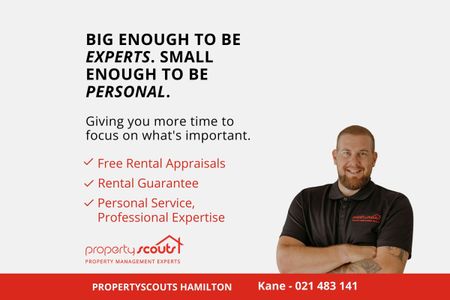 Beautiful, Light & Sunny - Photo 3