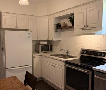 For Lease - 108 Springhurst Avenue Unit# Main/Bsmt, Toronto, Ontario - Photo 6