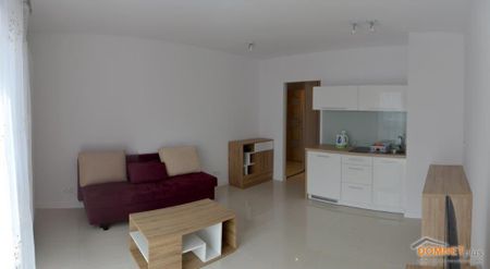 Katowice, Dąb - Фото 5