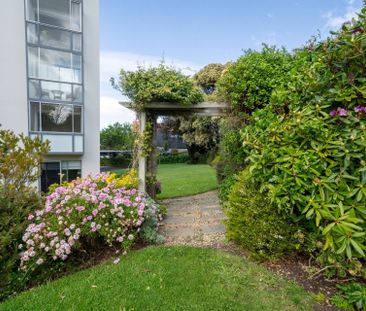 One Bedroom Unit in the Heart of Battery Point - Photo 5