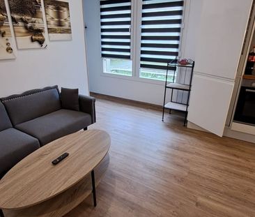 Appartement à louer 2 pièces • Torcy - Photo 1