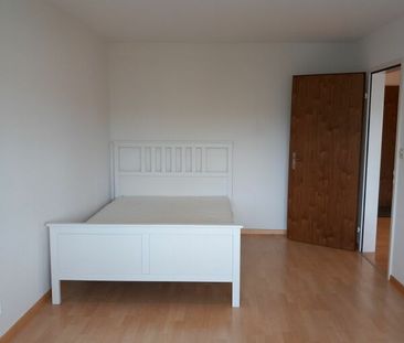 2.5 Zimmer, 44 m², 2. Stock - Photo 3