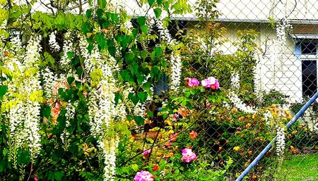 Short Term Pet Friendly Heritage Holiday Home. - Photo 2