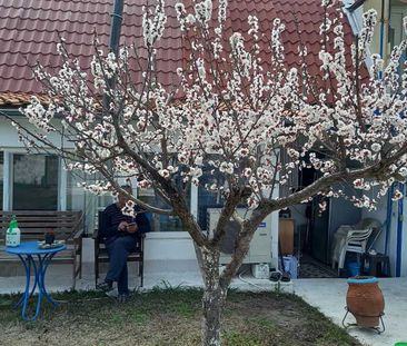 Μονοκατοικία για ενοικίαση - Καλλικράτεια, - Photo 4