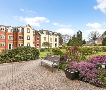 1 bedroom penthouse to rent - Photo 6