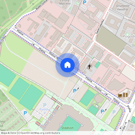 Poznań Marcelin, Ptasia