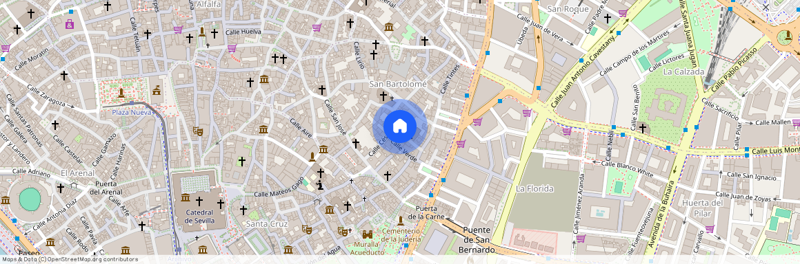 Calle Virgen de la Alegría, Sevilla, Andalusia 41004