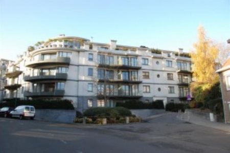 Chaussée de Stockel (B0), 1150, Woluwe-Saint-Pierre - Photo 3