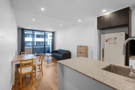 High Quality Fully Furnished Apartment in the city - Photo 2