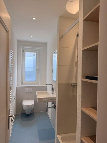 Umfassend sanierte 2.5-Zimmerwohnung mit modernem Ausbaustandard - Foto 5