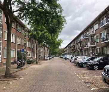 Fazantstraat - Foto 2