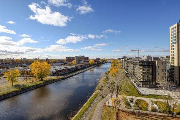 Condo for rent, Montréal (Le Sud-Ouest) - Photo 1