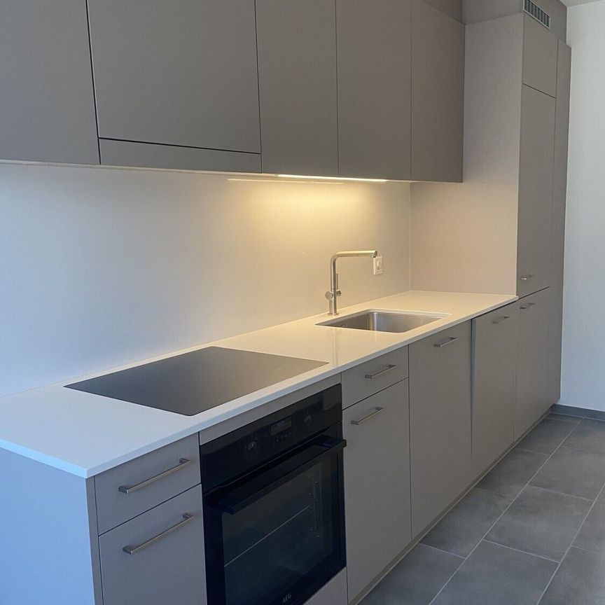 1 month FREE - First rental after partial renovation - Your new apartment in the heart of Basel - Foto 1