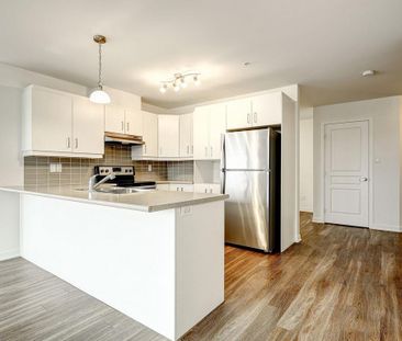 Studio - 290 Place Claude-Dagenais, Sainte-Thérèse - Photo 2