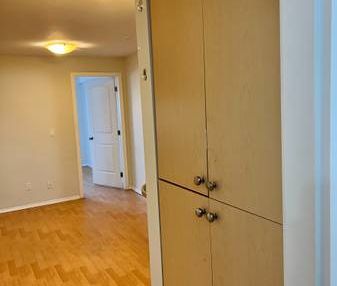 1 Bedroom Basement Suite for Rent - Photo 3