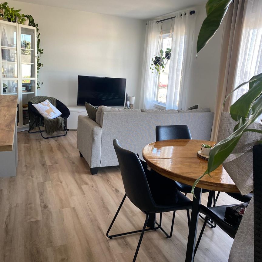 Appartement 4 1/2 à louer à Trois-Rivières (Andante) - Photo 1